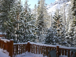 Property grounds - At Home in the Mountains , 7 bdrms 5 baths, Hot tub, Sauna, Steam rm & more (South Lake Tahoe)