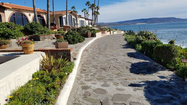 A coastal pathway lined with palm trees and potted plants, leading to a building with a tiled roof and arched windows. - COZY 2 BEDROOM OCEAN VIEW las gaviotas  17#2 (rosarito beach)