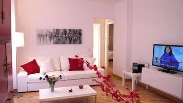 Télévision, lecteur de DVD, chaßne hi-fi