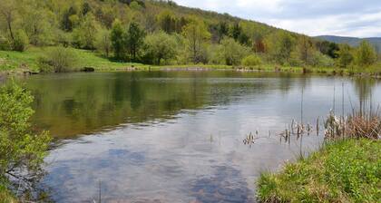Mountain Top Retreat, 116 private acres
