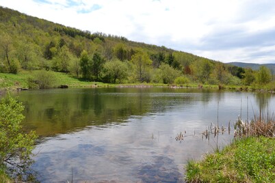 Mountain Top Retreat, 116 private acres