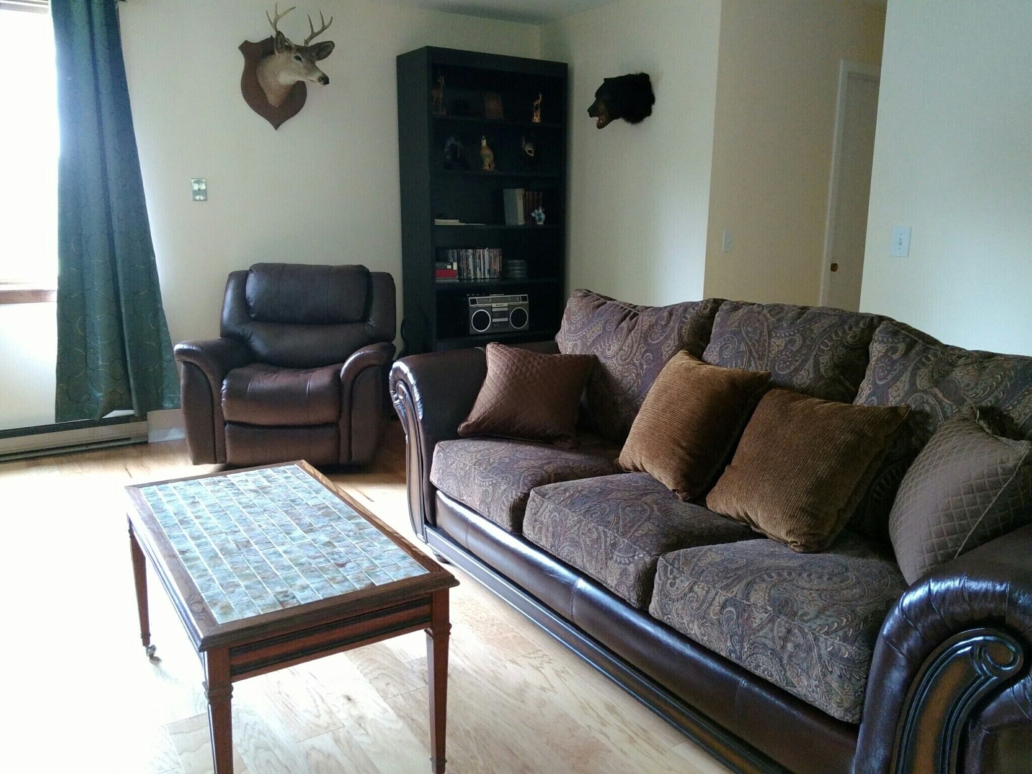 Smart TV, fireplace, DVD player, books