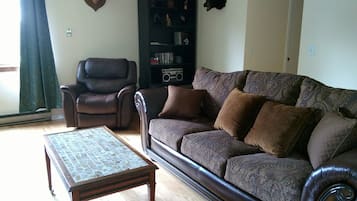 Smart TV, fireplace, DVD player, books