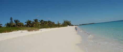 Sur la plage, serviettes de plage
