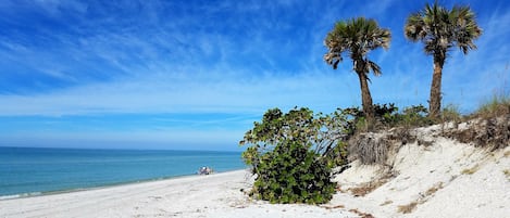 In Strandnähe, Liegestühle, Strandtücher