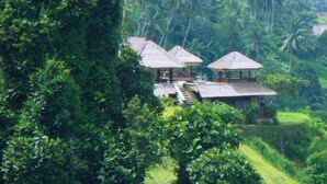 Ein Resort mit strohgedeckten Bungalows, umgeben von üppiger Vegetation und Palmen.