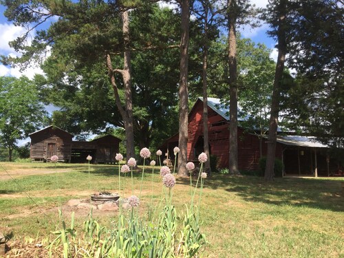 <br><br>Morrow Mountainin valtionpuistonäkymä<br>Uwharrie Camping!<br>Full Service Camping