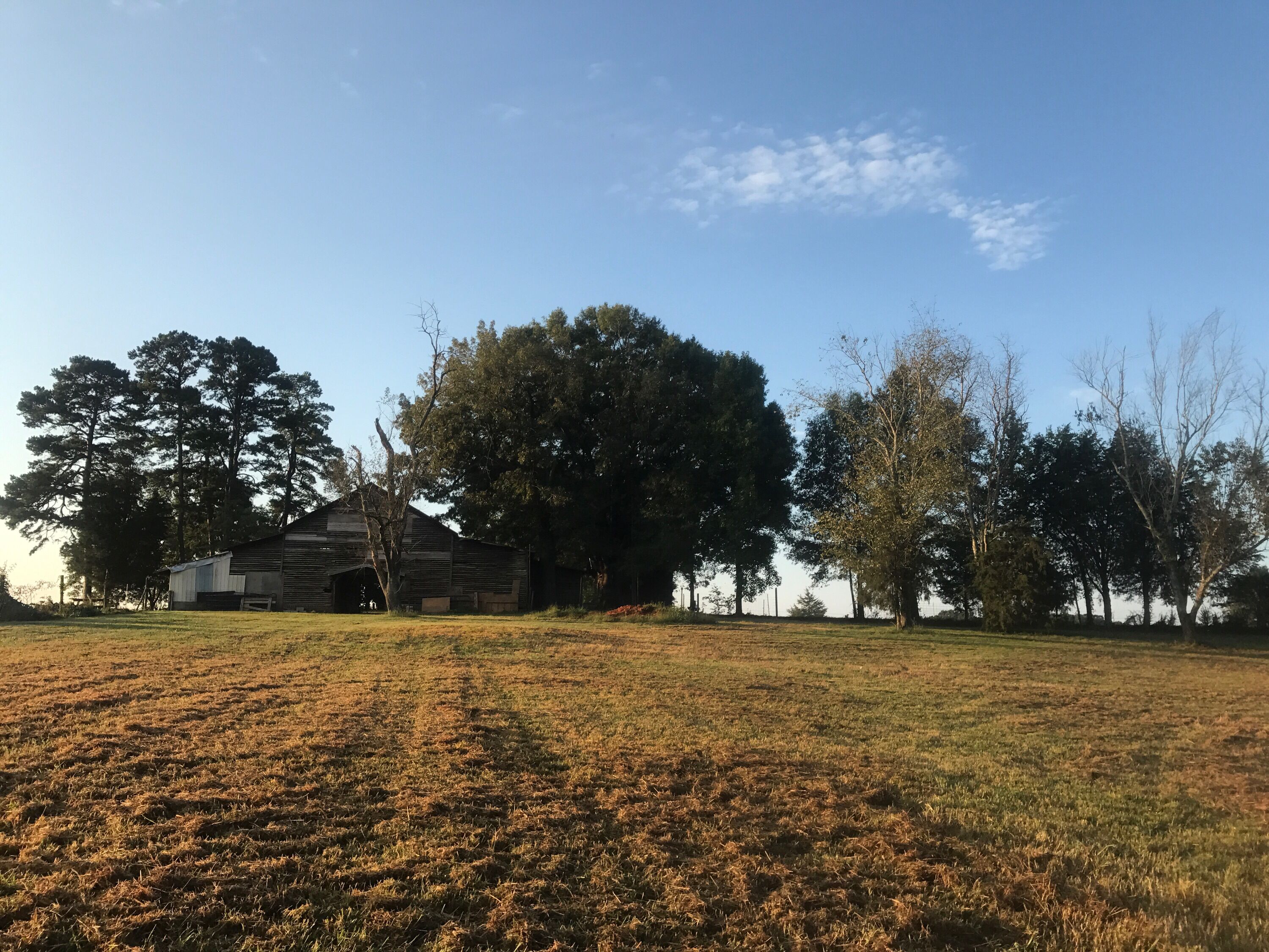 Un paysage rural avec une grange, des champs ouverts et quelques arbres dispersés.