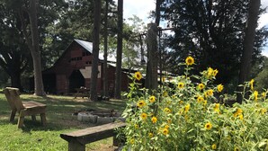 Eine rustikale Außenanlage mit einer Holzbank, einem Picknicktisch und einem Sonnenblumenfeld.
