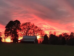 Exterior - Uwharrie Camping<br>Morrow Mountain State Park View<br>Primitive! (Albemarle)