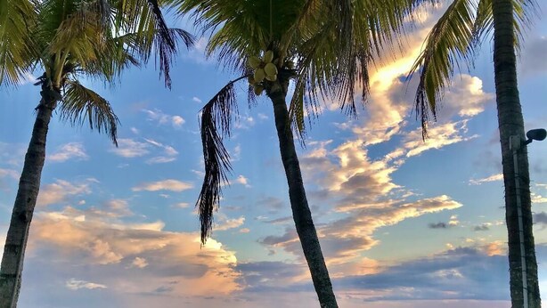 A beachside dining area with palm trees, a view of the sea, and people enjoying the sunset. - IMPERIAL PARADISE Naples, SFH, HEATED/CAGE pool, Near Beaches, discounts avail (Bonita Springs)