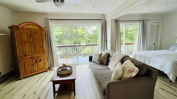 Smart TV, video games, DVD player, books