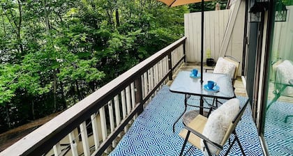 All Your Vacation Needs! Walk to the slopes!