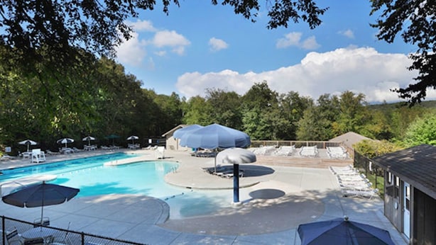 A swimming pool with lounge chairs and umbrellas, surrounded by trees.