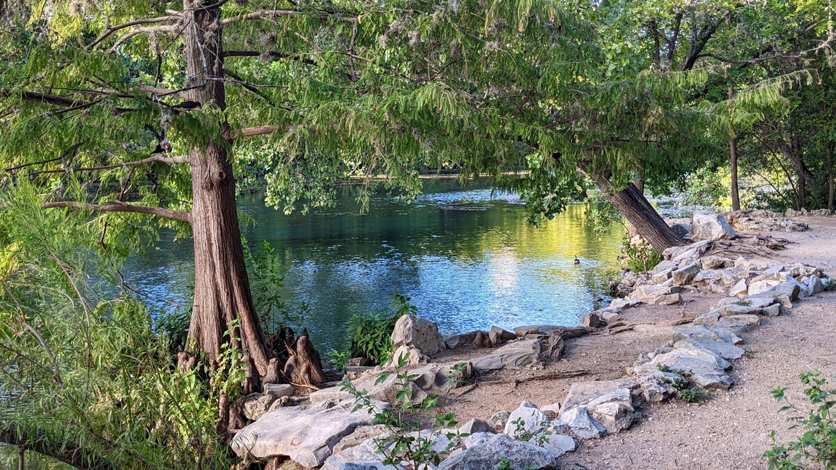 Photo 120 of Outdoor in Winter HERE-SUP-Kayak-HIKE-bike-SWIM-foodie-park & city-GARDENS