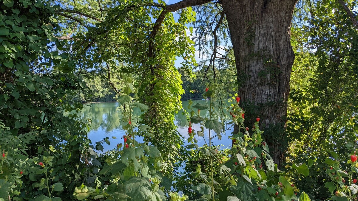 Photo 153 of Outdoor in Winter HERE-SUP-Kayak-HIKE-bike-SWIM-foodie-park & city-GARDENS
