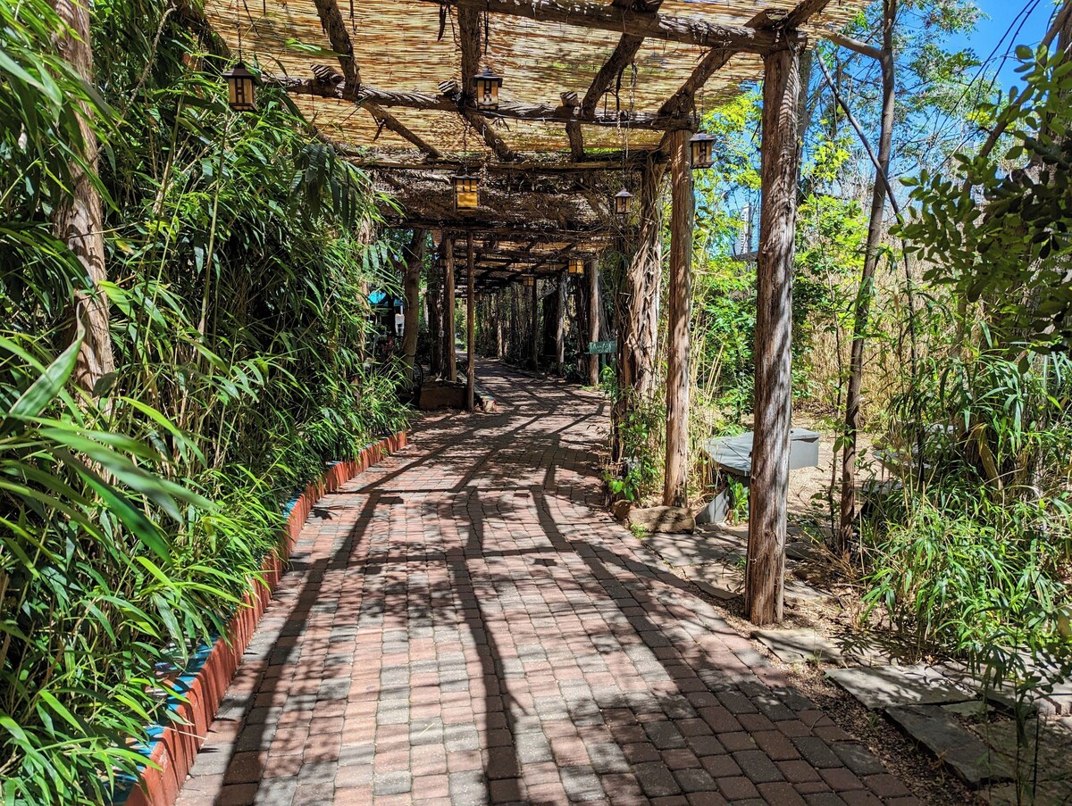 Photo 111 of Outdoor in Winter HERE-SUP-Kayak-HIKE-bike-SWIM-foodie-park & city-GARDENS