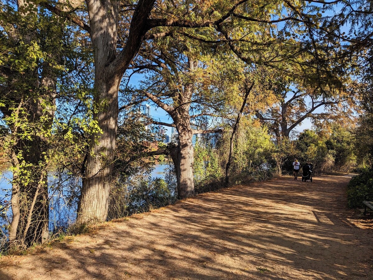 Photo 113 of Outdoor in Winter HERE-SUP-Kayak-HIKE-bike-SWIM-foodie-park & city-GARDENS