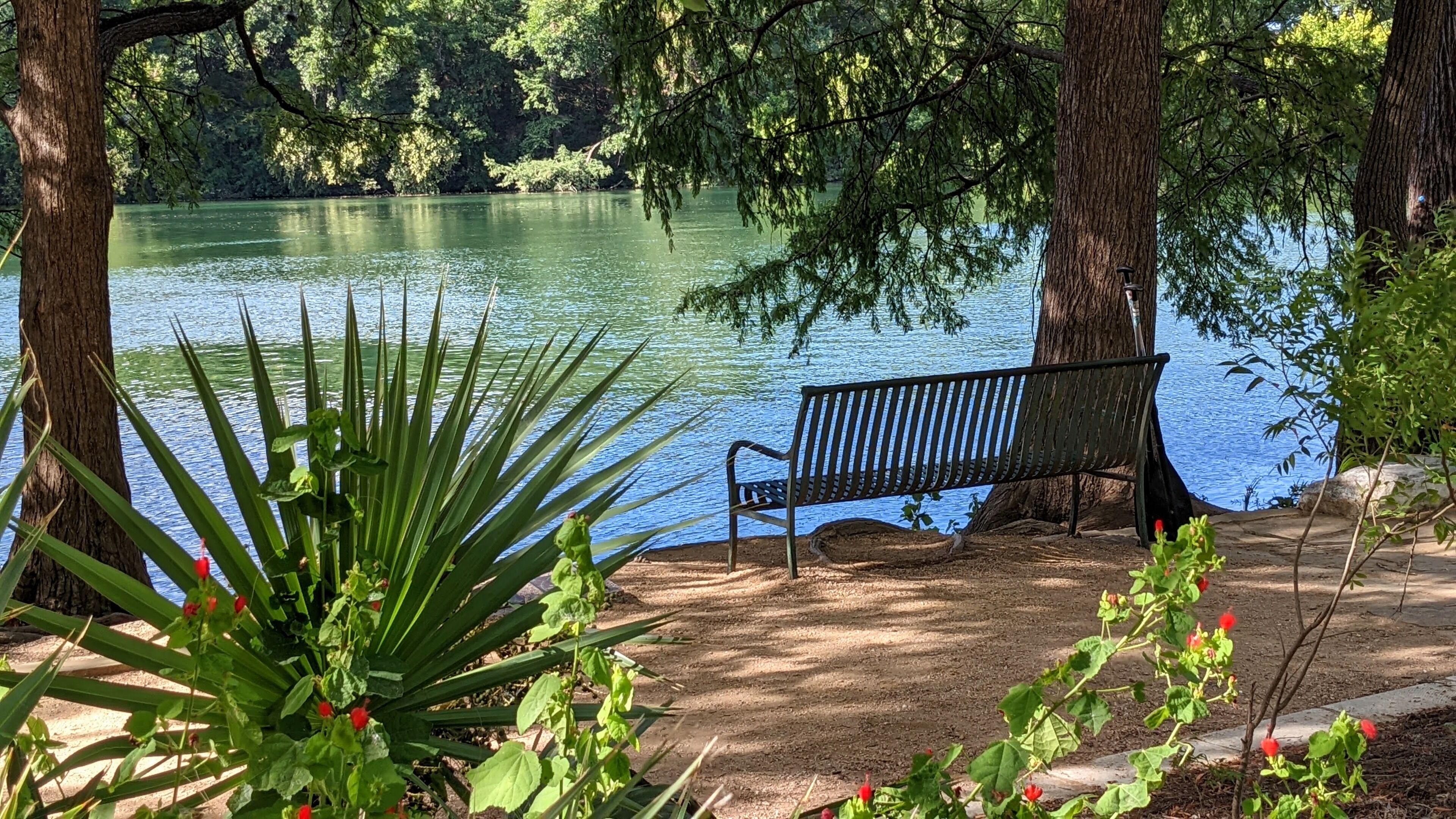 Un banc de parc au bord d’un lac, entouré d’arbres et de plantes.