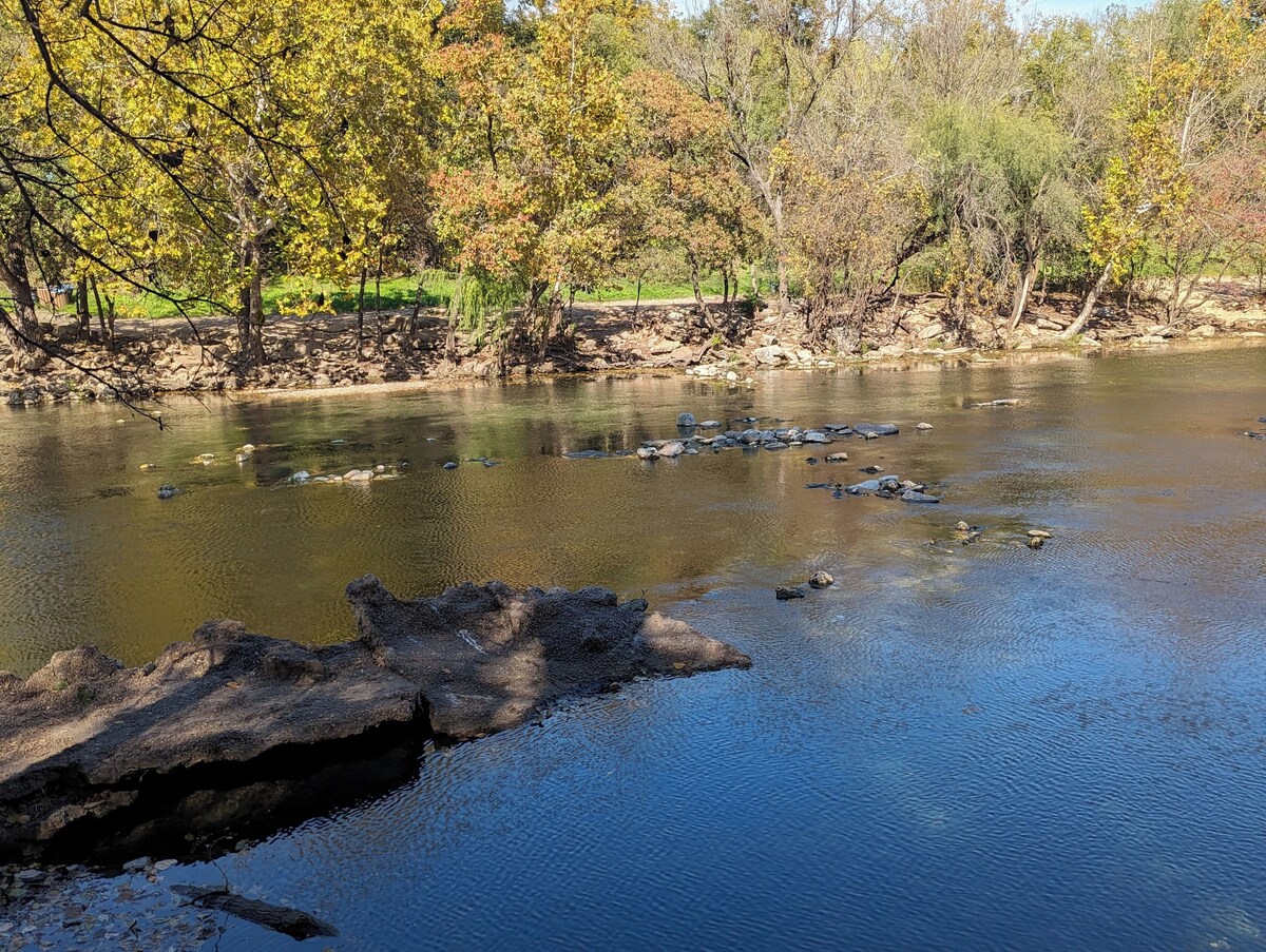 Photo 115 of Outdoor in Winter HERE-SUP-Kayak-HIKE-bike-SWIM-foodie-park & city-GARDENS