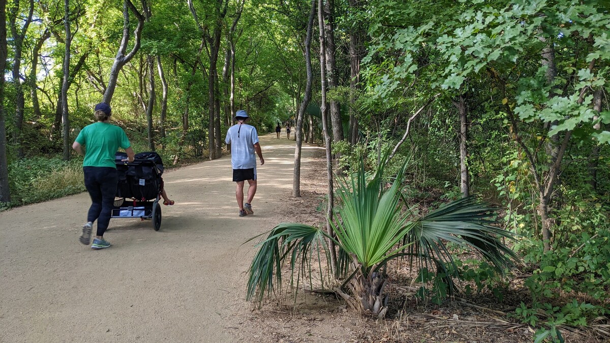 Photo 127 of Outdoor in Winter HERE-SUP-Kayak-HIKE-bike-SWIM-foodie-park & city-GARDENS