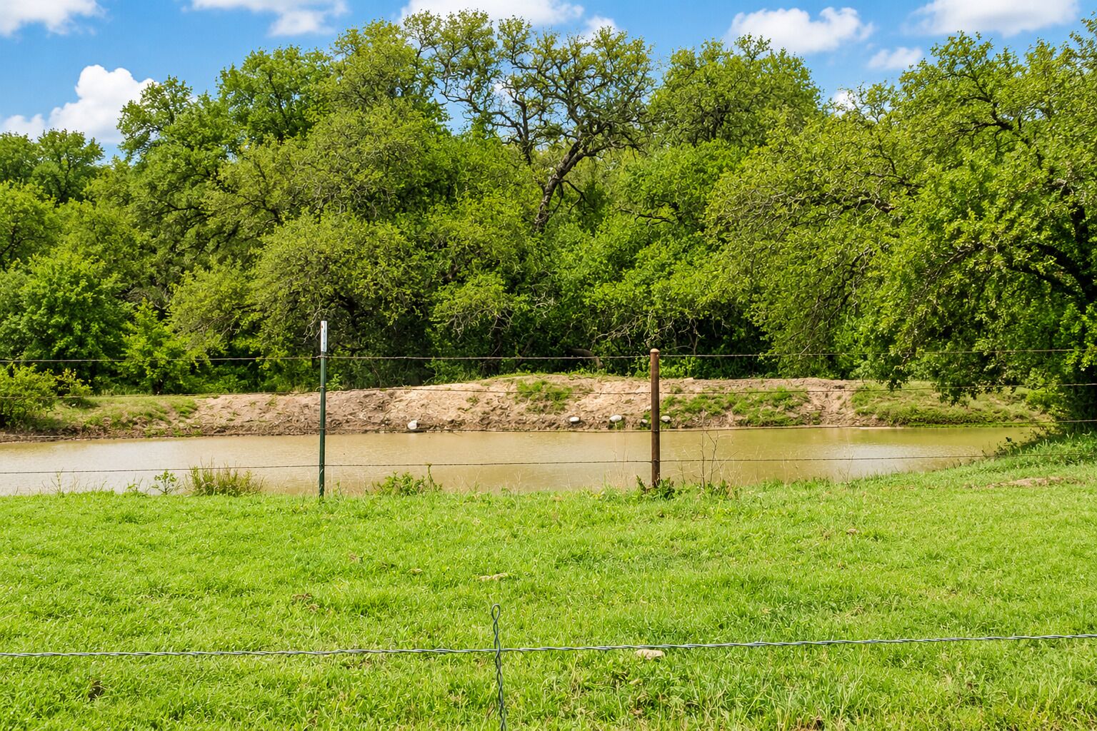 Een grasveld met water, bomen en een omheining.