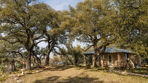 A rustic cabin surrounded by large trees, a clear sky, and a gravel path. - Peaceful Farm Cabin for Couples | TX Hill Country (Georgetown)