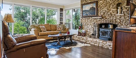 Smart TV, fireplace, DVD player, books
