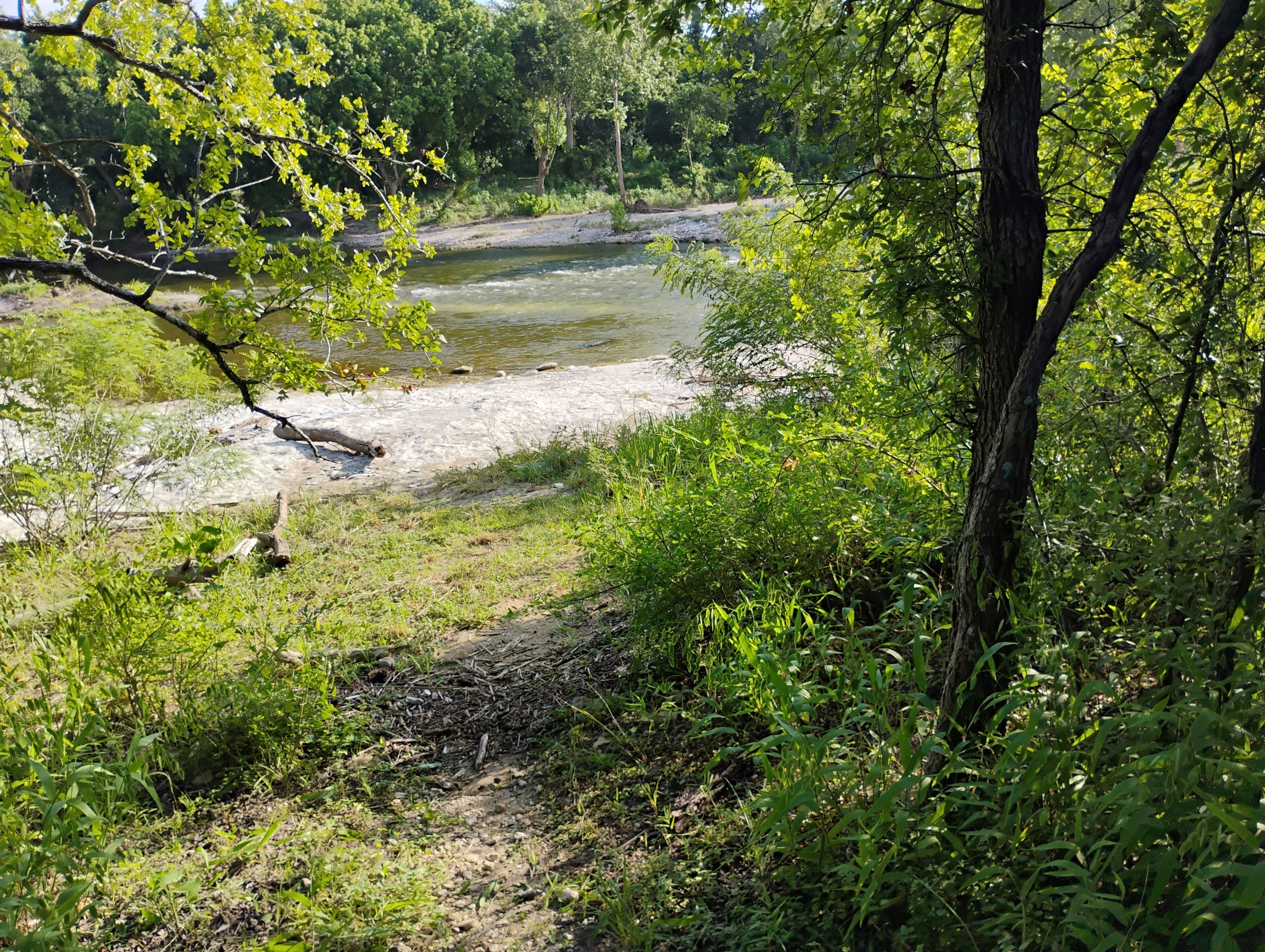 Eine natürliche Landschaft mit einem Fluss, dichtem Grün und einem Feldweg.