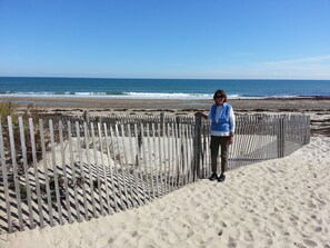 Sun-loungers, beach towels