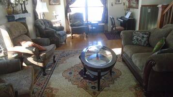 TV connectée, cheminée, jeux vidéo, lecteur de DVD