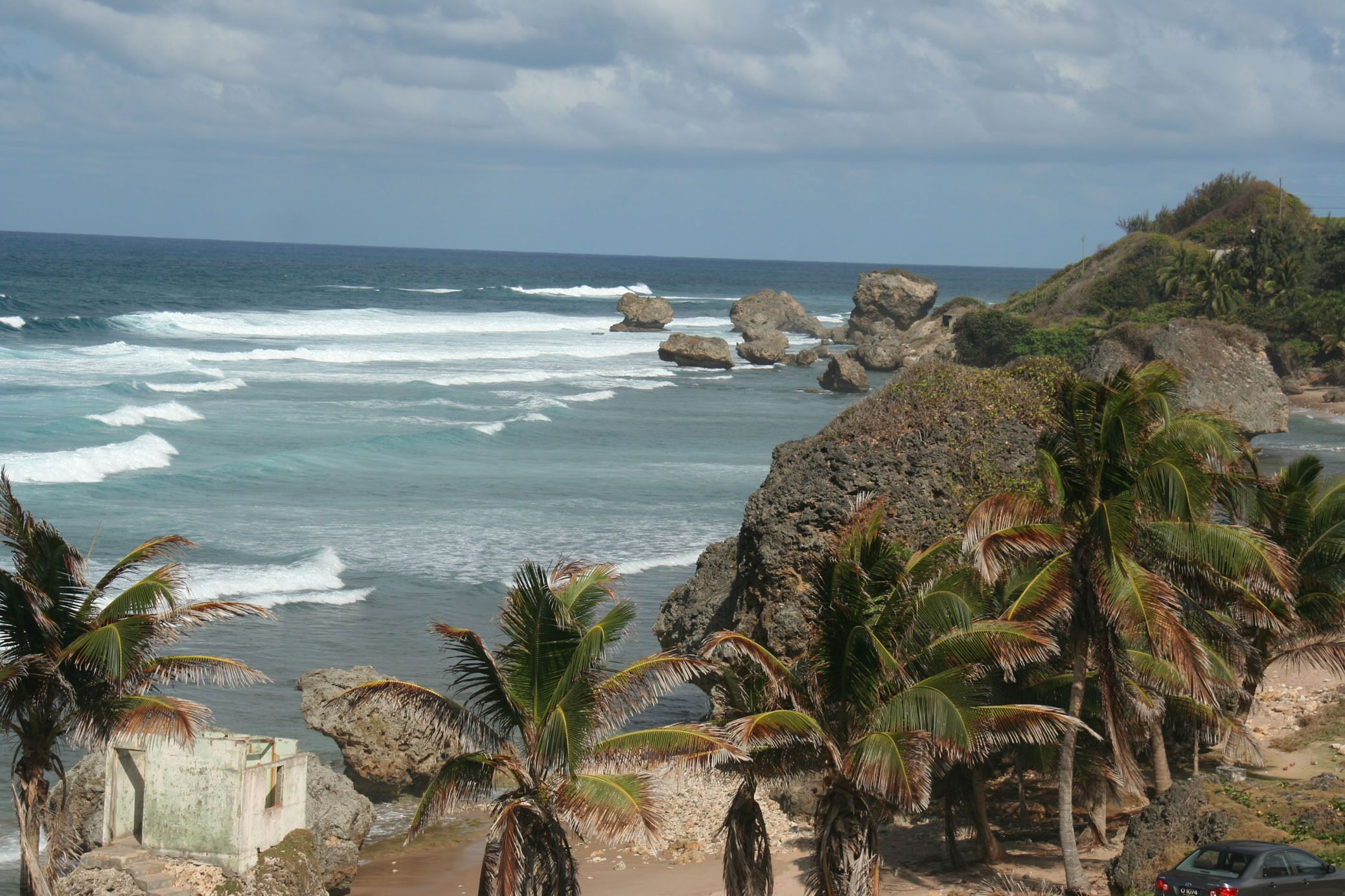 A coastal view with rocky terrain, palm trees, and a beach.