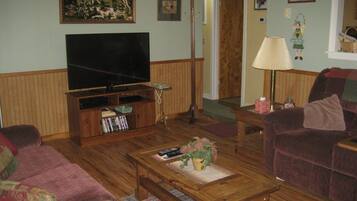 TV, fireplace, DVD player, books