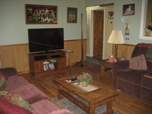 Téléviseur, foyer, lecteur de DVD, livres