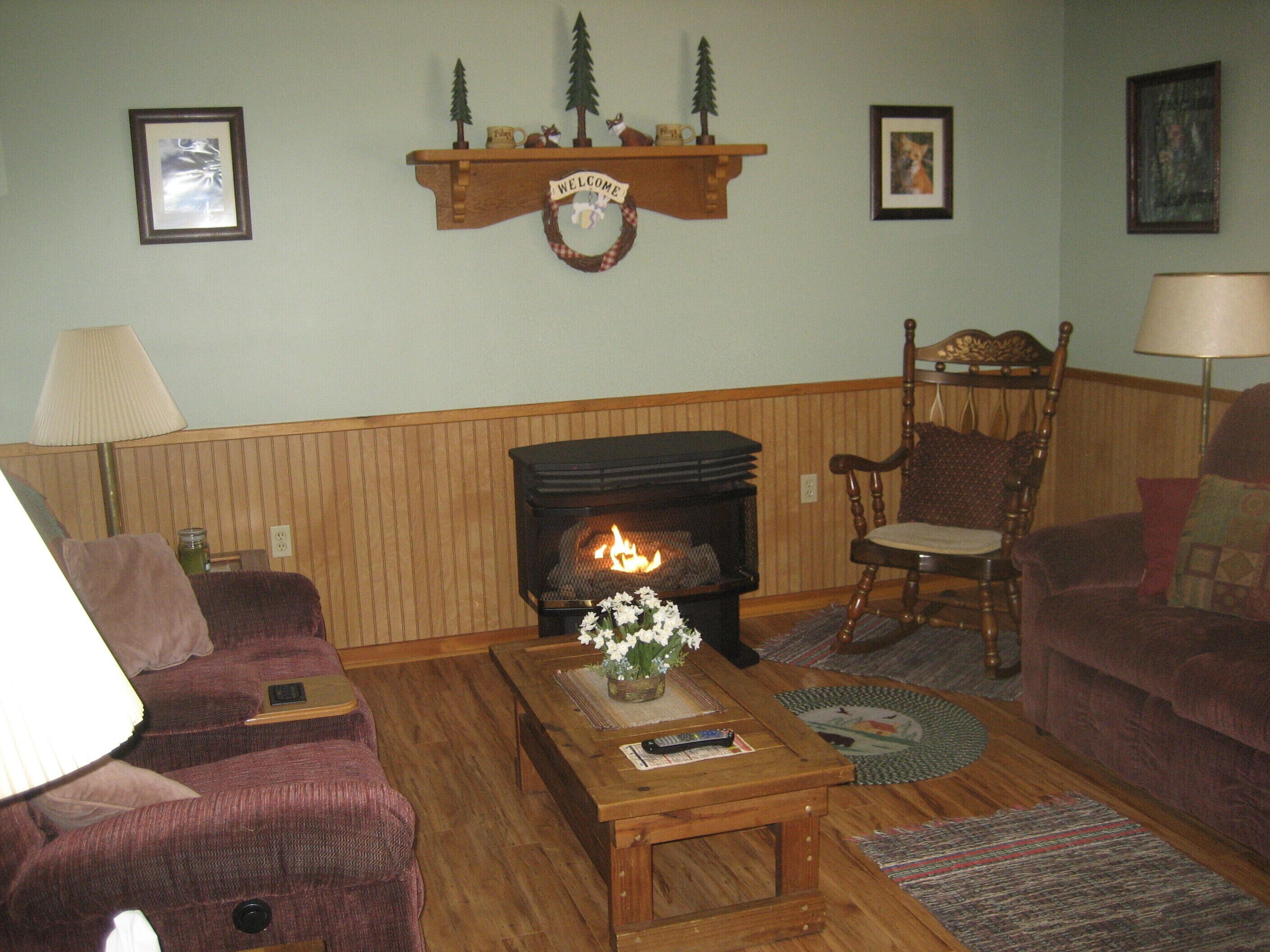 TV, fireplace, DVD player, books