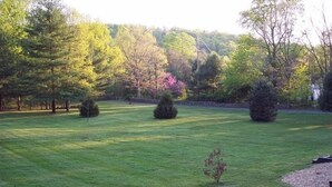 A well-maintained grassy lawn with several trees and shrubs.