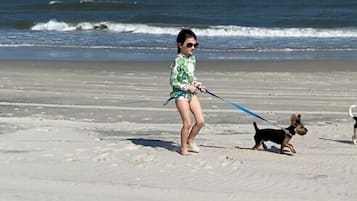 Ubicación cercana a la playa