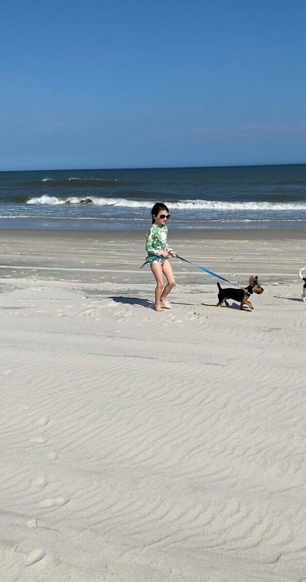 Perto da praia 