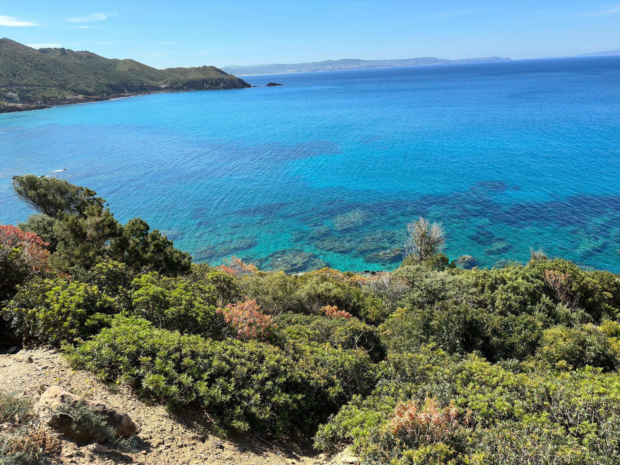 Paesaggio costiero con mare cristallino, vegetazione verde e colline sullo sfondo.