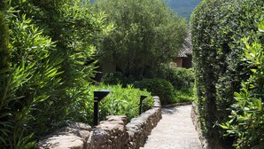 A stone pathway flanked by dense greenery, leading to a building with a tiled roof.