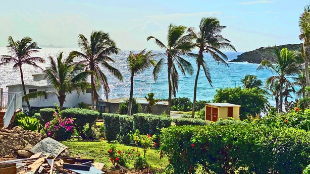 A coastal view with palm trees, a clear sky, and a body of water. - The Waves; Oceanfront 2 Bedroom. Gorgeous Sunrises. Relax With The Wave Rythyms (Philipsburg)