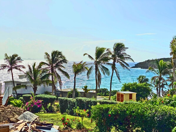 Property grounds - The Waves; Oceanfront 2 Bedroom. Gorgeous Sunrises. Relax With The Wave Rythyms (Philipsburg)