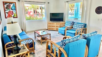 TV, DVD player, books