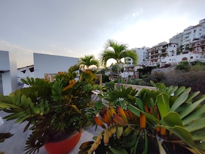 A rooftop garden with potted plants and a view of a coastal town with white buildings.