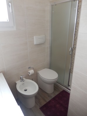 Shower, free toiletries, hair dryer, bidet
