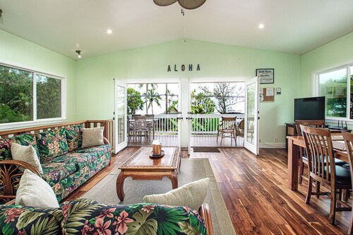 Hilo's Newest Richardson's Beach Park House. Best Loc. Snorkeling, Turtles.