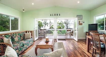 Hilo's Newest Richardson's Beach Park House. Best Loc. Snorkeling, Turtles.