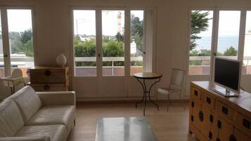 Televisio, DVD-soitin, kirjoja, videokirjasto