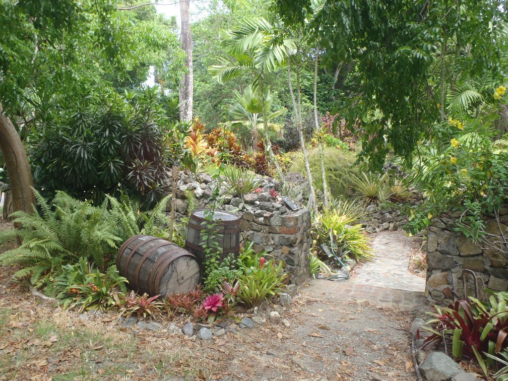 Visit the botanical gardens on St. Croix to see the island's diversity.