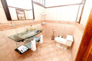 Shower, hair dryer, bidet, towels